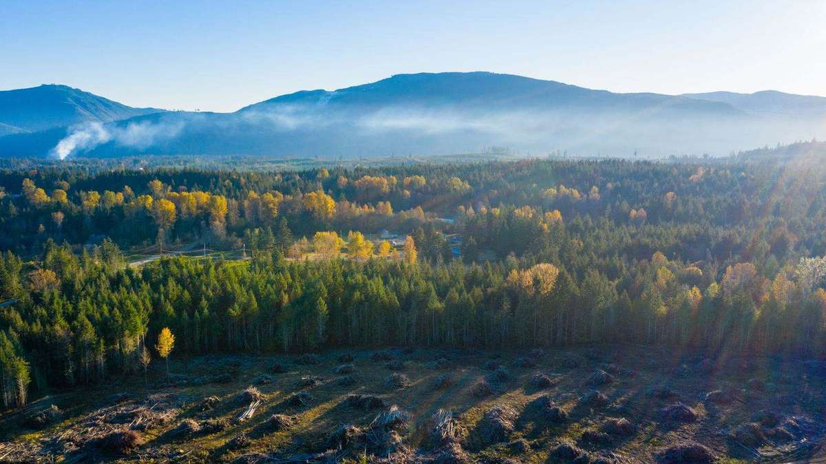 Misty autumn sunrise over the forest and the Phase 1 clearing at Elk Ridge, with mountains behind